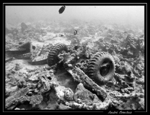 Autour du Thistlegorm, les morceaux de ferails jonchent l... by André Bruchez 